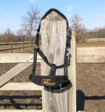 Licol personnalisé avec le nom